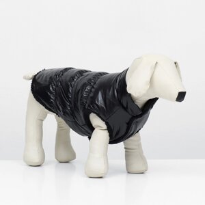 Куртка для собак 'Блеск', S (ДС 25, ОГ 37, ОШ 24 см, до 5 кг), чёрная