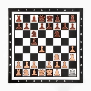 Демонстрационные шахматы 60 х 60 см 'Время игры' на магнитной доске, 32 шт, чёрные
