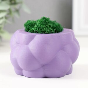 Кашпо бетонное 'Пузырьки' со мхом фиолетовый 8х8х5см (мох зеленый стабилизированный)