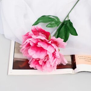 Цветы искусственные 'Пион бархатный' 15х55 см, розовый
