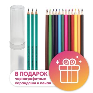 Карандаши 12 цветов Calligrata, ЭКОНОМ, заточенные, шестигранные, пластиковые, пенал-тубус и 3 чернографитных карандаша