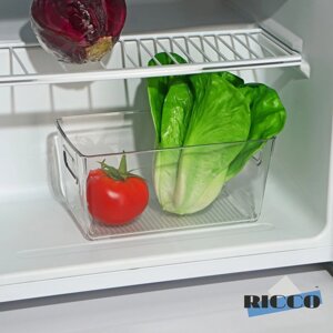 Контейнер для холодильника RICCO, 23,5x13x11 см