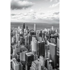 Фотообои 'Панорама Чикаго' (4 листа) 140Х200 см