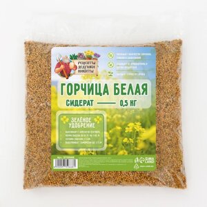 Семена Горчица белая 'Рецепты дедушки Никиты', 0,5 кг