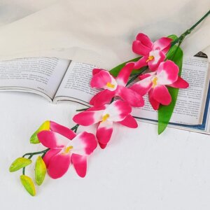 Цветы искусственные 'Орхидея Гуарианте' 70 см, розовый