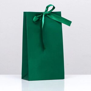 Пакет подарочный с лентой 'Зелёный' 13 х 23 х 7 см, 1 шт.