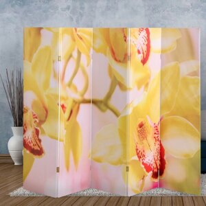 Ширма 'Орхидеи', 250 х 160 см