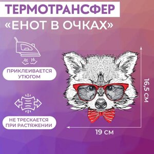 Термотрансфер 'Енот в очках', 16,5 x 19 см (комплект из 5 шт.)