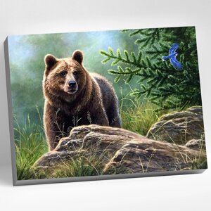 Картина по номерам 40 x 50 см 'Сибирский бурый медведь' 20 цветов