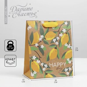 Пакет подарочный крафтовый вертикальный, упаковка, 'Happy day', MS 18 х 23 х 8 см