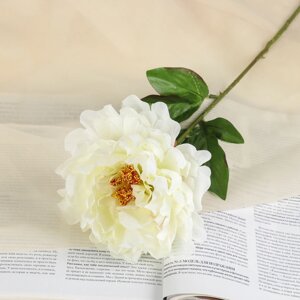 Цветы искусственные 'Пион бархатный' 15х55 см, белый