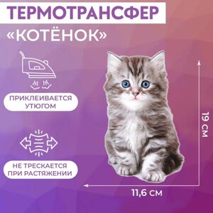 Термотрансфер 'Котёнок', 11,6 x 19 см (комплект из 5 шт.)