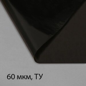 Плёнка полиэтиленовая, техническая, 60 мкм, чёрная, длина 10 м, ширина 3 м, рукав (1.5 м x 2), Эконом 50