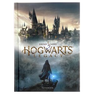Записная книжка, А6, 48 листов, в клетку, 'Hogwarts Legacy. Гарри Поттер', глянцевая ламинация, блок офсет 60г/м2