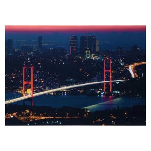 Картина световая 'Светящийся мост' 50*70 см