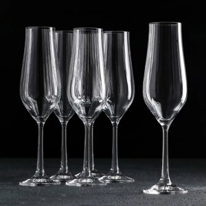 Набор бокалов для шампанского Bohemia Crystal 'Тулипа', 170 мл, 6 шт