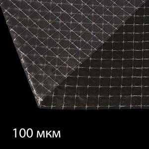 Плёнка армированная для теплиц Greengo, полиэтиленовая с леской, УФ-стабилизированная, 10 x 2 м, 100 мкм