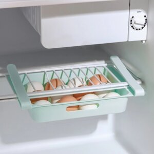 Полка для яиц в холодильник, подвесная, 12 ячеек, 26x17x5 см, цвет МИКС