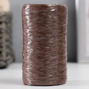 Пряжа для ручного вязания 100 полипропилен 200м/50гр. (09-коричневый) (комплект из 5 шт.)
