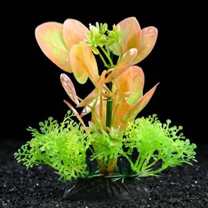 Растение искусственное аквариумное, 10 см, зелёно-розовое (комплект из 3 шт.)