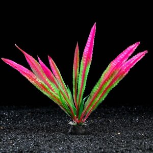 Растение искусственное аквариумное, 4 х 20 см, розовое (комплект из 5 шт.)
