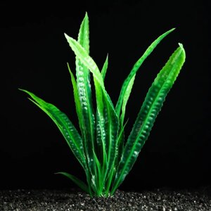 Растение искусственное аквариумное, 4 х 20 см, зелёное (комплект из 5 шт.)
