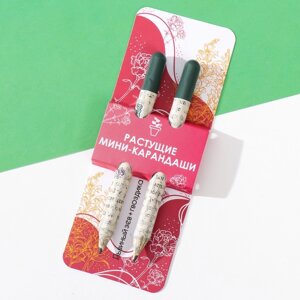 Растущие подарочные карандаши mini 'Львиный зев + гвоздика' набор 2 шт.
