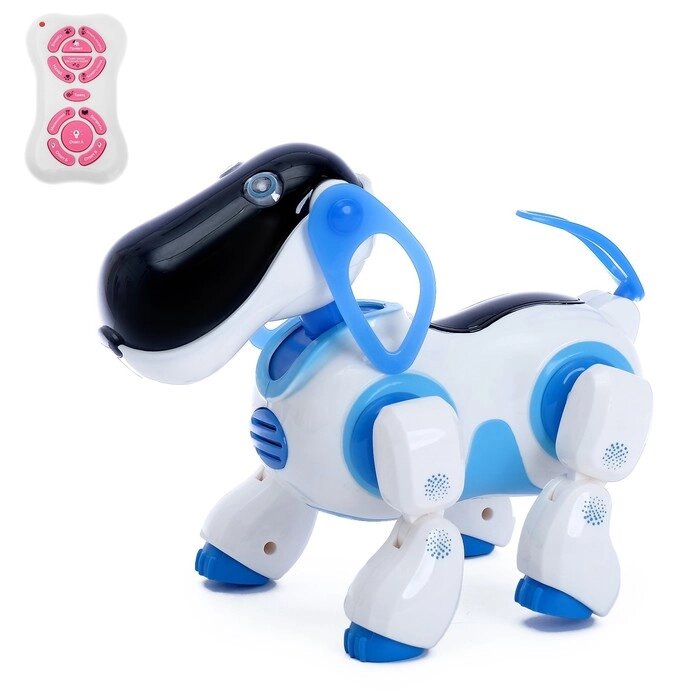 Робот собака 'Ки-Ки', программируемый, на пульте управления, интерактивный звук, свет, танцующий, музыкальный, на от компании Интернет-магазин "Flap" - фото 1