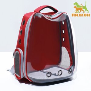 Рюкзак для переноски 'Котик'прозрачный, 32 х 28 х 42 см, красный