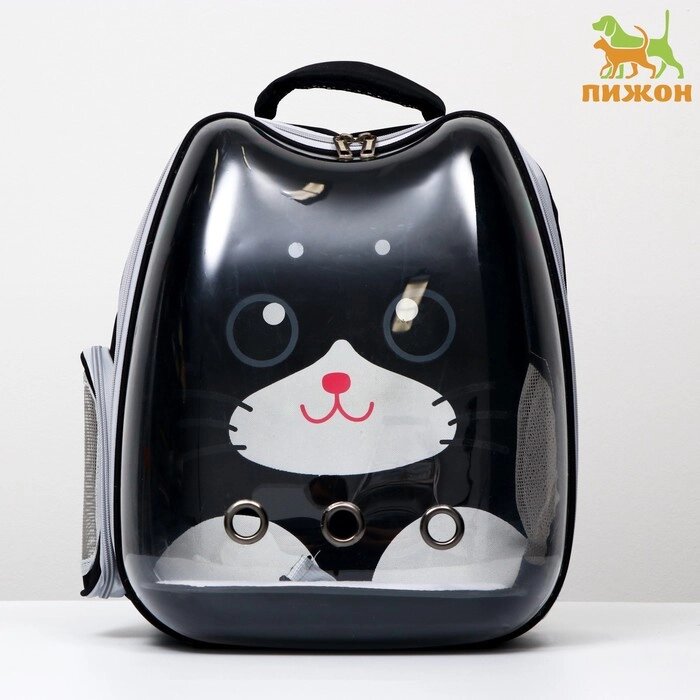 Рюкзак для переноски животных 'Котик', прозрачный, 34 х 25 х 40 см, чёрный от компании Интернет-магазин "Flap" - фото 1