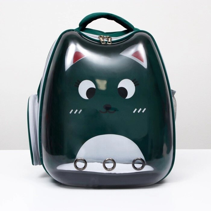 Рюкзак для переноски животных 'Котик', прозрачный, 34 х 25 х 40 см, зелёный от компании Интернет-магазин "Flap" - фото 1