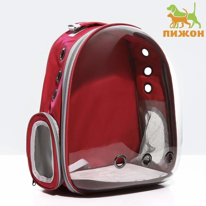 Рюкзак для переноски животных прозрачный, 31 х 28 х 42 см, красный от компании Интернет-магазин "Flap" - фото 1