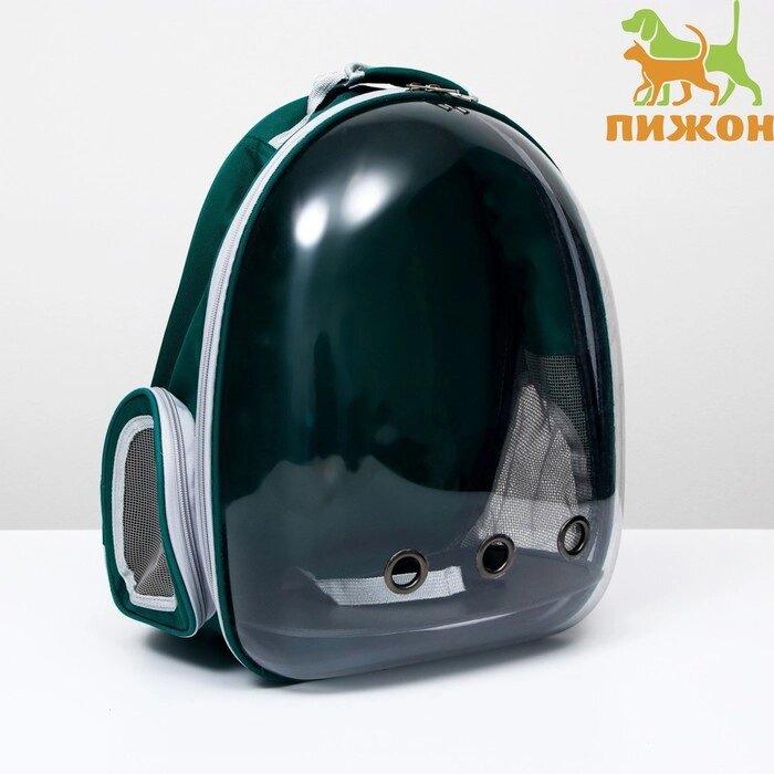 Рюкзак для переноски животных, прозрачный, 31 х 28 х 42 см, зелёный от компании Интернет-магазин "Flap" - фото 1