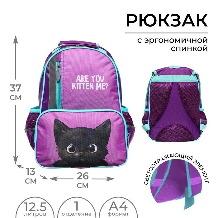Рюкзак школьный, 37 х 26 х 13 см, эргономичная спинка, Calligrata ОРТ 'Котик черный' от компании Интернет-магазин "Flap" - фото 1
