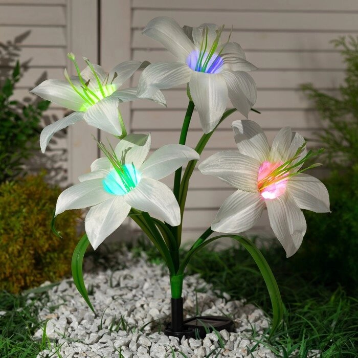 Садовый светильник на солнечной батарее 'Лилия белая', 80 см, 4 LED, свечение мульти (RGB) от компании Интернет-магазин "Flap" - фото 1