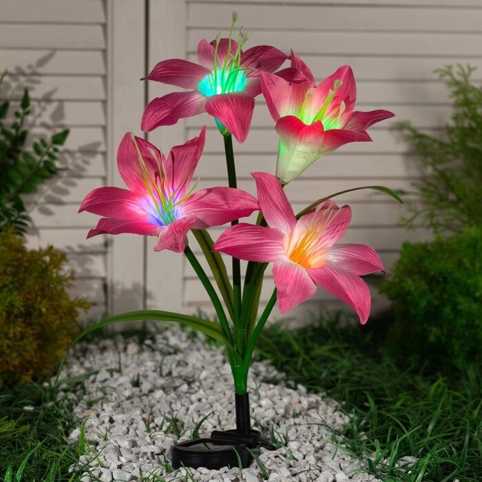 Садовый светильник на солнечной батарее 'Лилия розовая', 80 см, 4 LED, свечение мульти (RGB) от компании Интернет-магазин "Flap" - фото 1