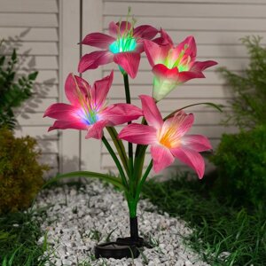 Садовый светильник на солнечной батарее 'Лилия розовая'80 см, 4 LED, свечение мульти (RGB)