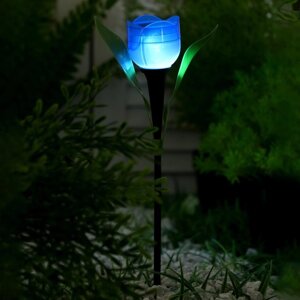 Садовый светильник на солнечной батарее 'Тюльпан синий'4.5 x 29 x 4.5 см, 1 LED, свечение белое