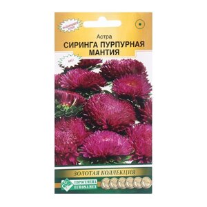 Семена Цветов Астра СИРИНГА Пурпурная мантия, 0,1 г