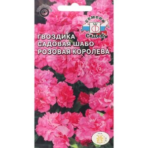 Семена цветов Гвоздика 'Розовая королева '0.1 г