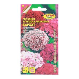 Семена цветов Гвоздика турецкая махровая 'Бархат' смесь, 0,3 г