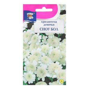 Семена цветов Хризантема девичья 'Сноу Бол'0,05 г