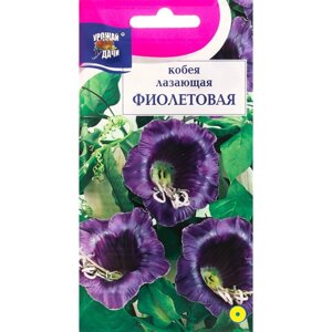 Семена цветов Кобея 'Фиолетовая'0,3 г