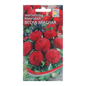 Семена цветов Маргаритка 'Весна красная'250 шт