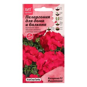 Семена цветов Пеларгония 'Колорама F2 Фиолетовая' для дома и балкона, 5 шт