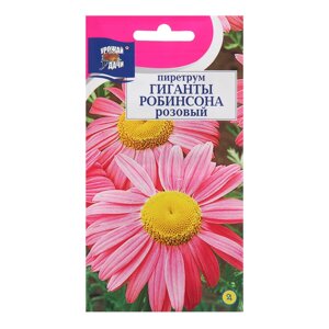 Семена цветов Пиретрум 'Гиганты Робинсона'Розовый, 0,05 г