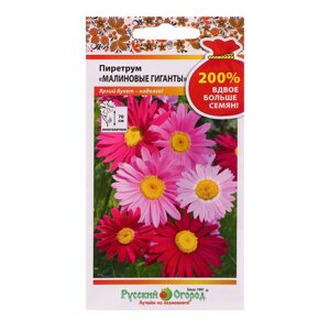 Семена цветов Пиретрум 'Малиновые гиганты'200, 0,4 г
