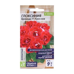 Семена комнатных цветов Глоксиния Брокада 'Красная'F1, 8 шт.