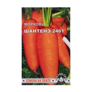 Семена моркови 'Шантанэ 2461'