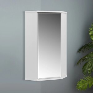 Шкаф навесной для ванной комнаты угловой 'ПШ' с зеркалом, 48 х 34 х 73 см